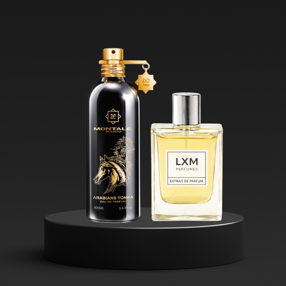 LXM 499 | Inspired by Montale Arabians Tonka