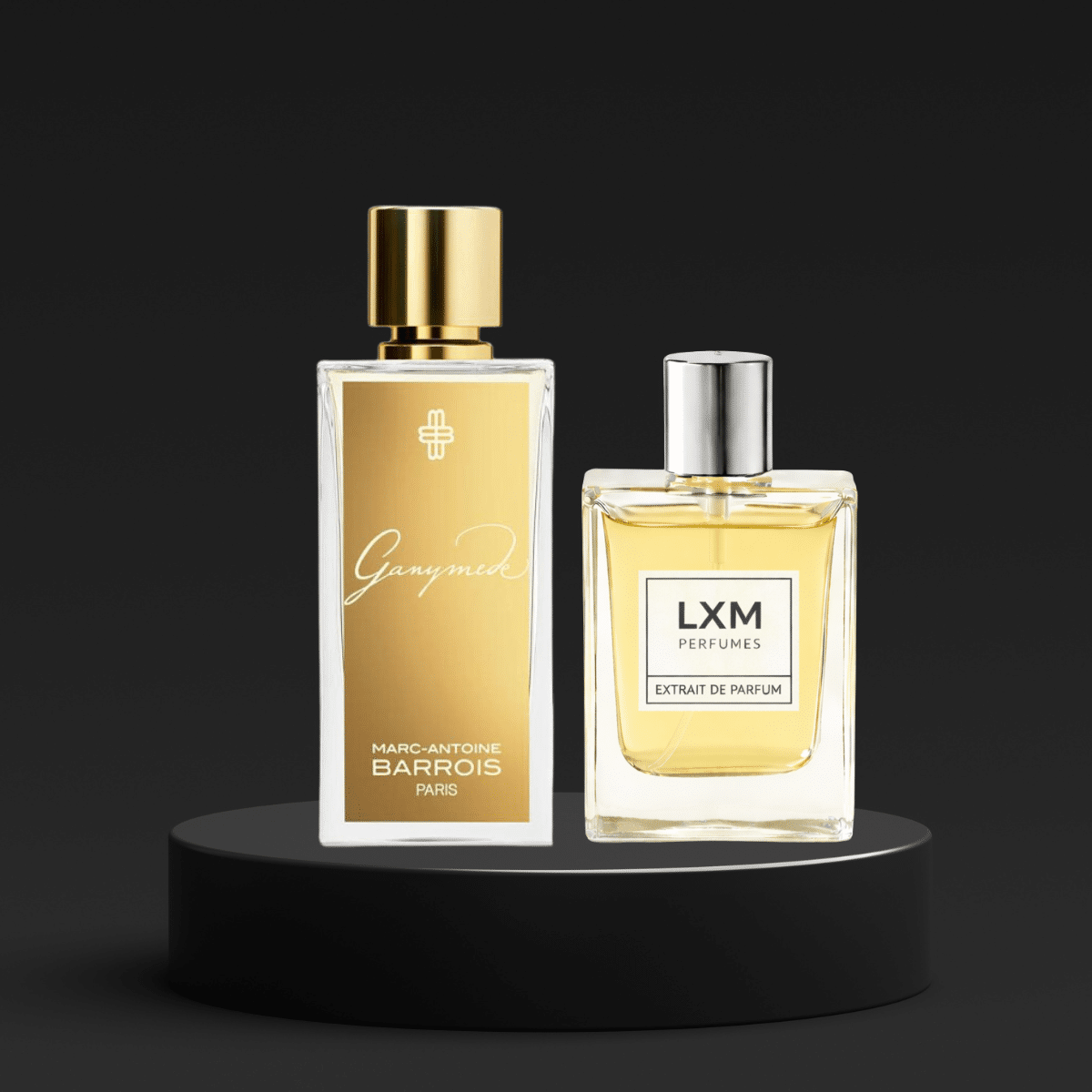 LXM 600 | Inspired by Marc-Antoine Barrois Ganymede